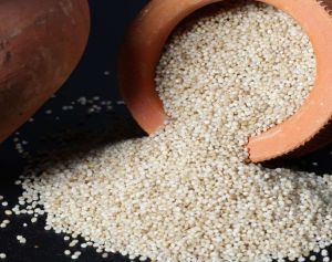 Dhanshakti Organic Barnyard Millet for Cooking, Purity : 99%