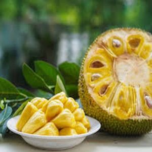 Jackfruit Pulp, Color : Yellow