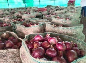 Plain Onion Jute Bag