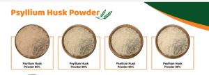 Psyllium Powder