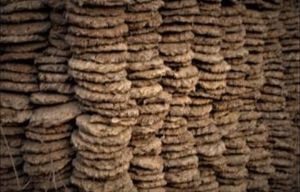 cow dung cake