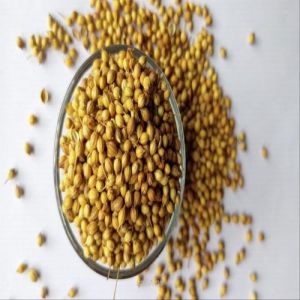 Coriander Seeds, Color : Brown for Cooking, Spices, Seasoning