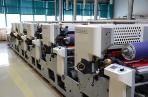 Flexo Paper Printing Services, Color : Multicolor