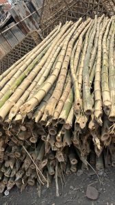 Desi Bambo Pole 20 Feet