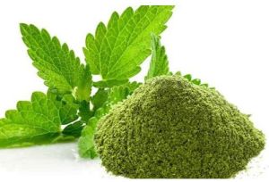 Spray Dried Mint Leaves Powder
