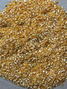 Organic Broken Maize, Color : Yellow Dried for Cattle Feed