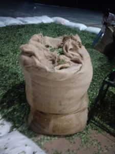 Organic Best Quality Dry Moringa Leaf for Medicine