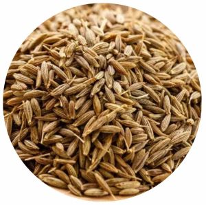 Singapore Quality Cumin Seeds