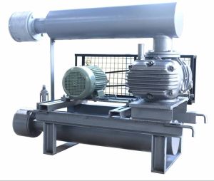 Twin Lobe Air Blower