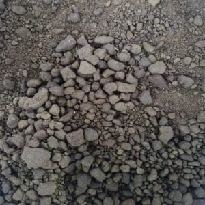 Mustard Doc Cattle Feed, Color : Grey