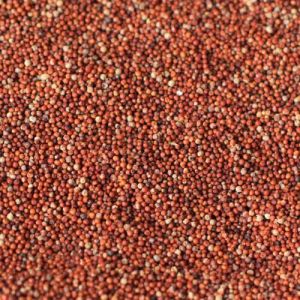 Brown Finger Millet Seeds, Packaging Type : Bag for Food Preparation