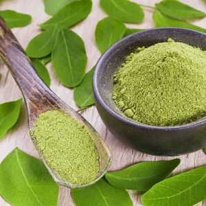 Pure Moringa Powder, Color : Green, Packaging Type : Bag