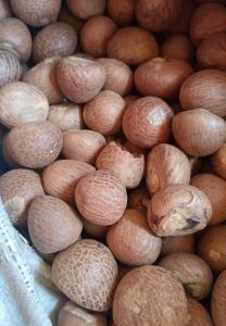 Split Raw Betel Nut Barma 969 for Herbal Formulation