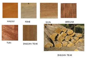 Wood for Furniture Making, Boat Building, Flooring more