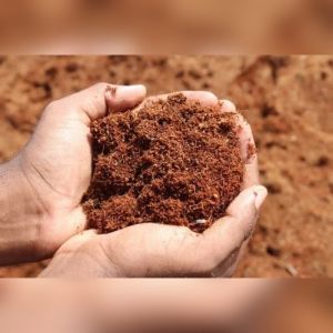 High EC Coco Peat Powder, Color : Brown, Brand Name : GK Organics