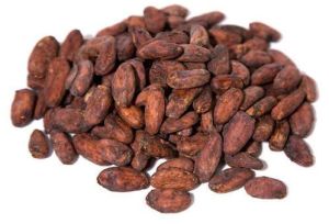 Cocoa Beans, Color : Brown, Packaging Type : Bag for Chocolate Making