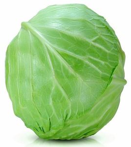 High Quality Green Cabbage