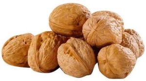 Whole Dry Walnut, Color : Brown, Packaging Type : Bag