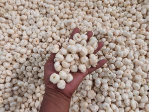 Phool Makhana for Cooking, human consumption, Purity : 99.9%