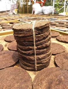 cow dung cakes