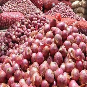 A Grade Fresh Red Onion, Certification : FSSAI Certified for Cooking
