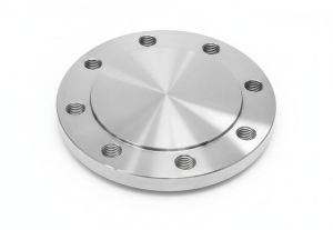 Stainless Steel Blind Flange
