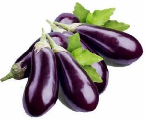 A Grade Fresh Brinjal