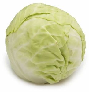 Fresh A Grade Cabbage, Cultivation Type : Organic / Naturally Grown