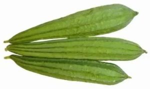 Fresh A Grade Ridge Gourd, Packaging Type : Plastic Pack, Mesh Bag
