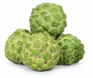Light Green With Creamy Flesh Naturally Grown Fresh Custard Apples
