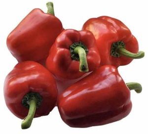 Fresh Red Capsicum