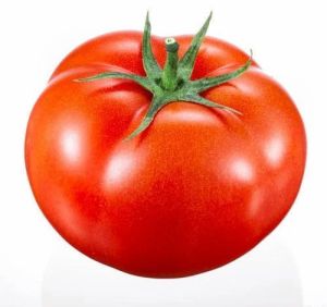 Organic Fresh Red Tomato, Variety : Hybrid