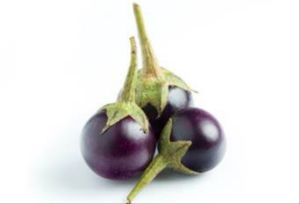 Fresh Round Brinjal