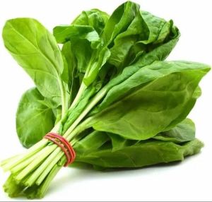 Dark Green Organic / Naturally Grown Fresh Spinach Leaves