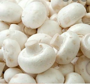Naturally Grown Fresh White Button Mushrooms