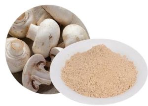 Beige Dehydrated Mushroom Powder, Packaging Type : Sealed Bag