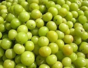 Fresh Amla