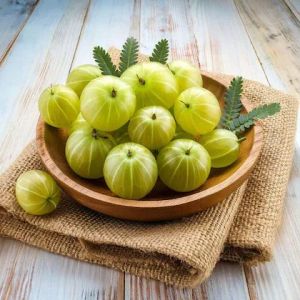 Indian Amla, Packaging Size : 10Kg, 20Kg, 25Kg, 50Kg
