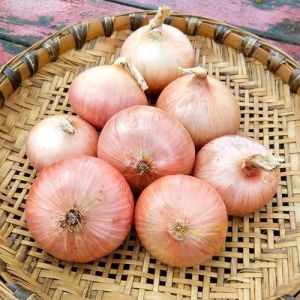 Fresh Pink Onion, Packaging Size : 5-25kg Gunny Bag for Cooking