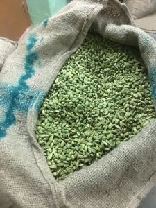 PVP Natural green cardamom Food Grade, Packaging Type : Plastic Bag