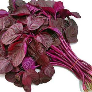 Frozen Amaranth Leaves, Color : Red, Purity : 100% for Cooking