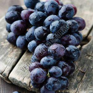 frozen black grapes