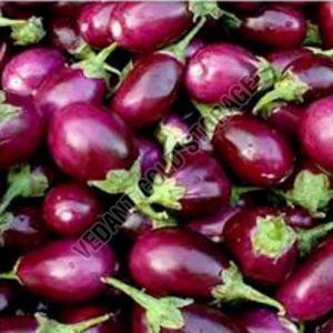 Purple Frozen Brinjal, Cultivation Type : Organic for Cooking