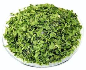 Frozen Coriander Leaves