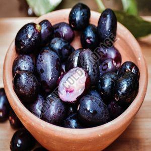 Organic Frozen Jamun, Color : Purple Preserved