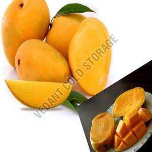 Organic Frozen Kesar Mango, Color : Yellow Preserved