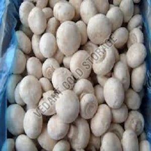Frozen Mushroom for Cooking, Quality Available : A Grade
