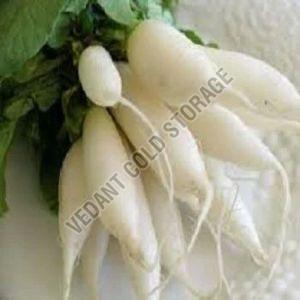 Organic Frozen Radish, Color : White for Cooking
