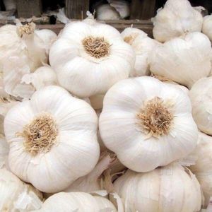Organic Fresh White Garlic, Packaging Type : Gunny Bags for Cooking