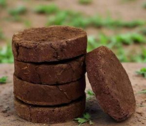 cow dung cake